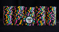 Tiger Palace (Paulson) Primary Cash $100 chip - Black 39mm - One Barrel